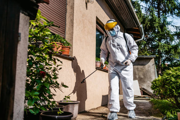 Best Wasp Removal Services  in Meridian Hills, IN