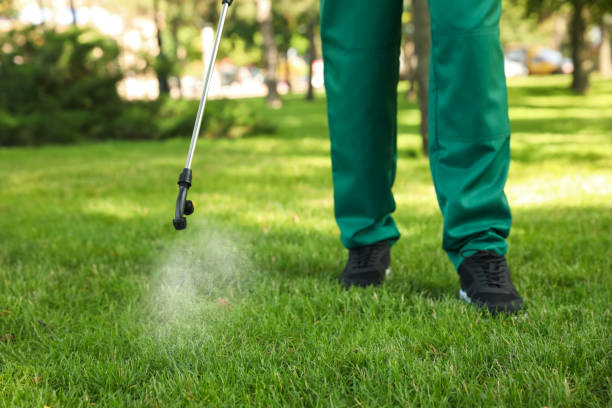 Best Ant Control Services  in Meridian Hills, IN