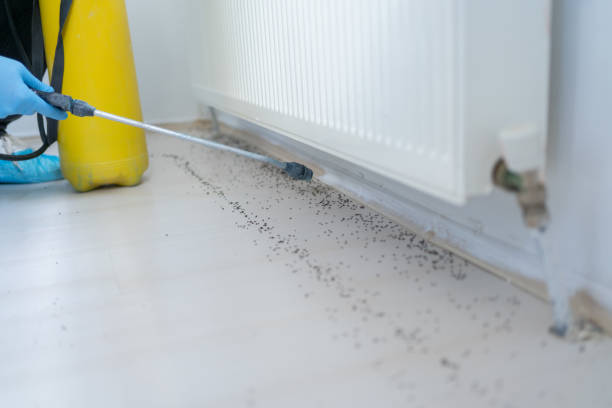 Reliable Meridian Hills, IN Pest Control Solutions